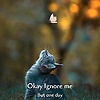 khani_12832