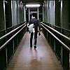 adam_75194