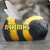 ilya_50082