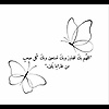afnane_59024