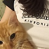 sofi_37481