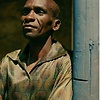basil_23178
