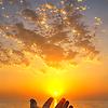 mohray_36043
