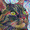patrick_21786