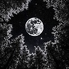 ona_59071