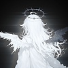 Java_kaiser