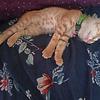 sameer_38121