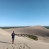 mdev_46933