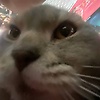 user_190588