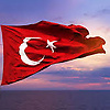 mehttrk_88309