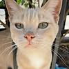 ramzi_95293