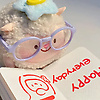 wanhe_63283