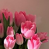 evelyyne_91045