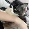 Shasha_123