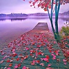 Jannat1234