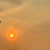 user_49144