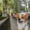 nancy_50023