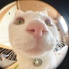PandaAndRabbit