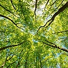 giorgi_68811