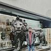 martin_64967