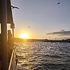hitherif_40345