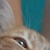anikazz_