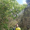 Andrew30bo