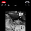 mishoo_26325
