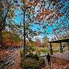 ali_80120