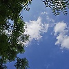 ron_30263