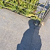 user_404109