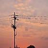 krishanpor_58216
