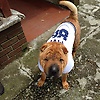 dave_42461