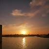 shiela68_73640