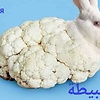 gomni95_30586