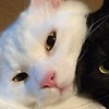 meriem_48679