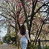 Sam_Vant