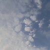 rhema_44322