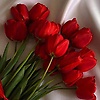oksana_46437