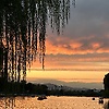 Nora_17496
