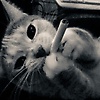 leila_99036