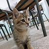 jamal_48783