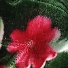 abdullah_67923