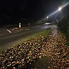 grty_21857