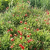 abderrahma_13956