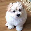 thomas_42161