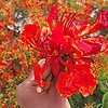george_54188