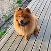 LeonSeie