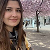 ally_52239