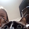 lina_50353